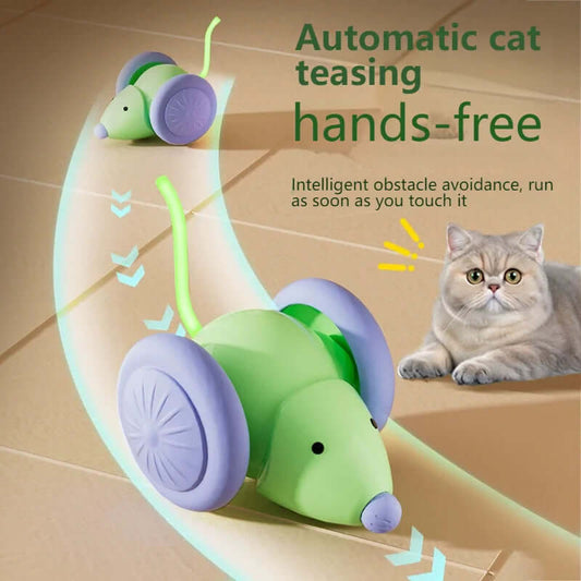 Cat Toy Electric Mouse Car - FurryZone