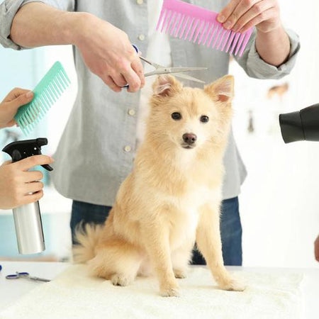 Pet Grooming & Hygiene Products Collection
