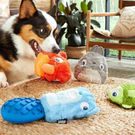 Pet Toys Collection