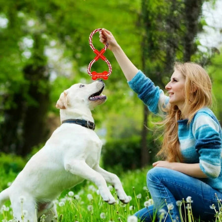 Pet Training Products