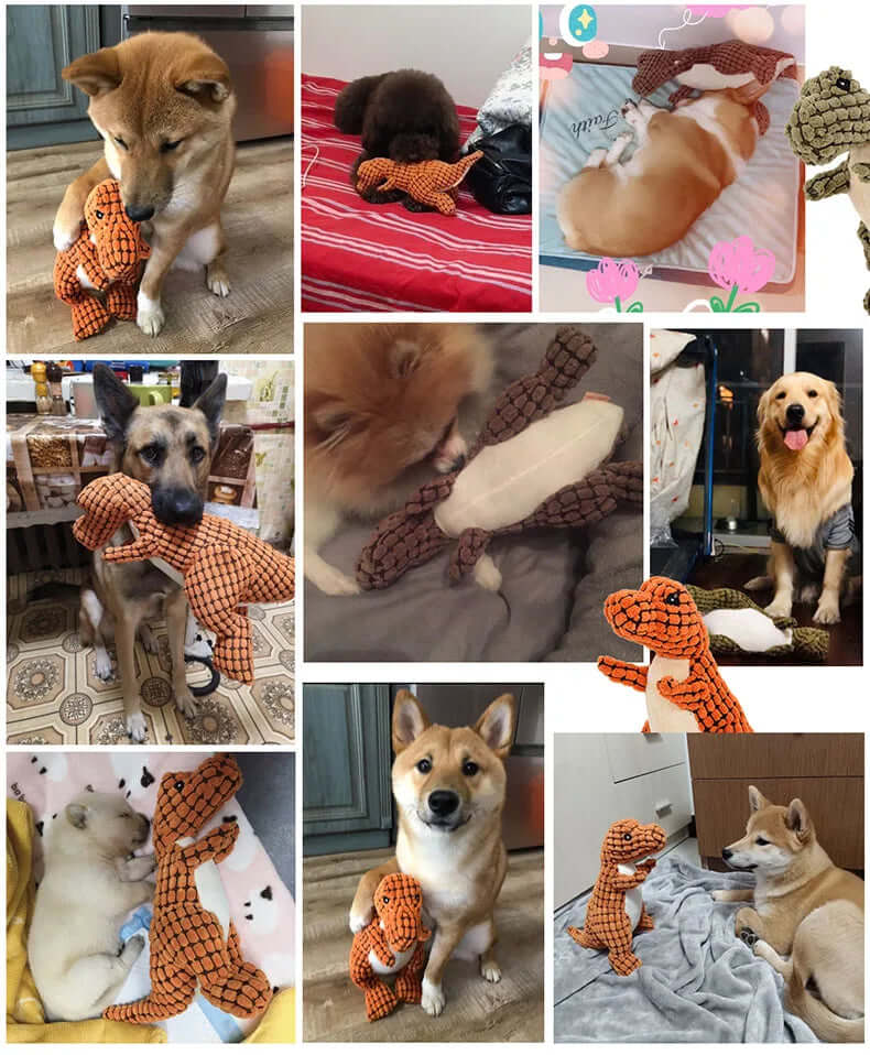 HOOPET Dog Toy - FurryZone