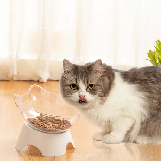 Non-Slip Pet Food & Water Bowl with Stand - FurryZone