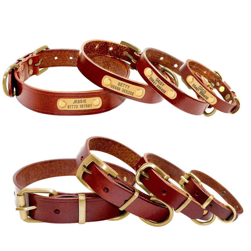 Personalized Leather  Dog Collars - FurryZone