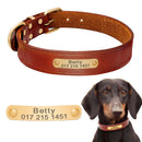 Personalized Leather  Dog Collars - FurryZone