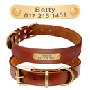 Personalized Leather  Dog Collars - FurryZone