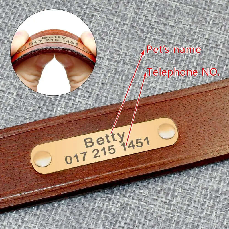 Personalized Leather  Dog Collars - FurryZone