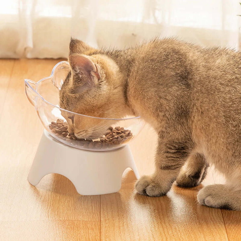 Non-Slip Pet Food & Water Bowl with Stand - FurryZone