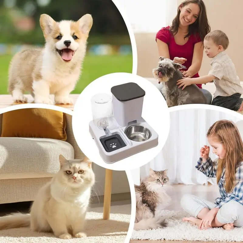 2-in-1 Automatic Pet Feeder & Water Dispenser - FurryZone