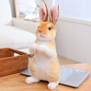 20cm Realistic Rabbit Plush Toy - FurryZone