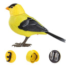 Electronic Singing Bird Toy - FurryZone