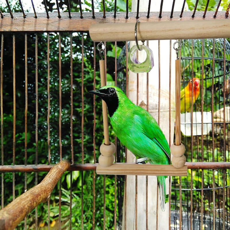 Bird Swing Toy - FurryZone
