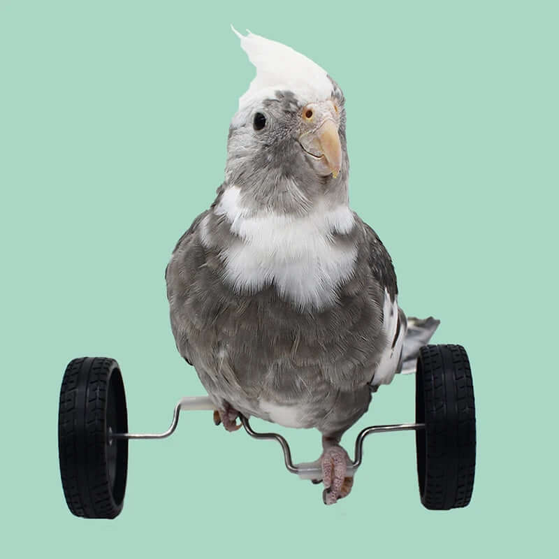 Artificial Foam Feather Birds Decoration - FurryZone