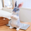 20cm Realistic Rabbit Plush Toy - FurryZone