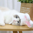 Rabbit Headgear for Cats - FurryZone