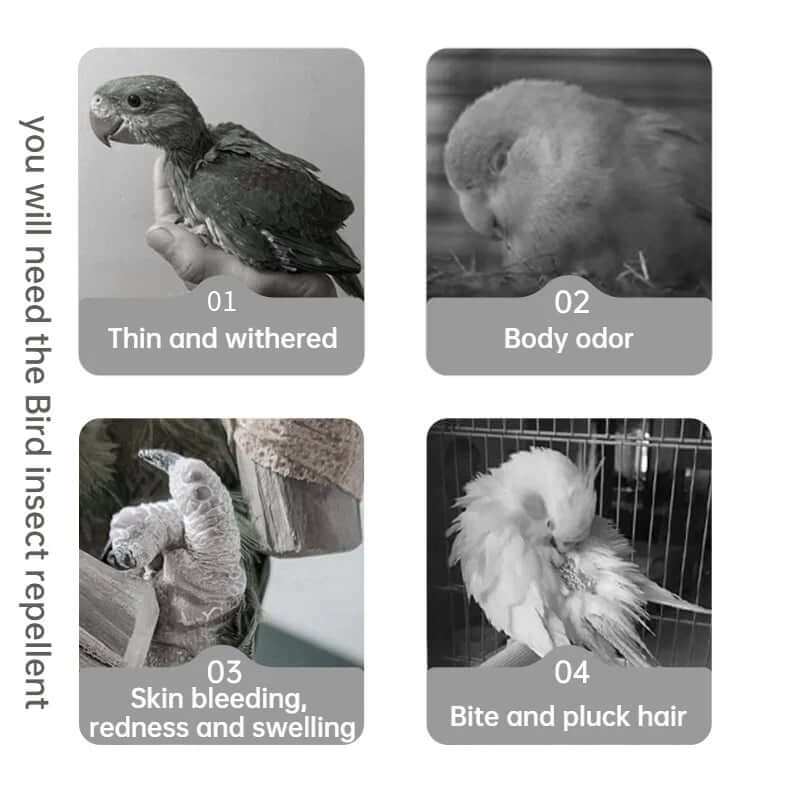 Bird Insect Repellent 100ml - FurryZone