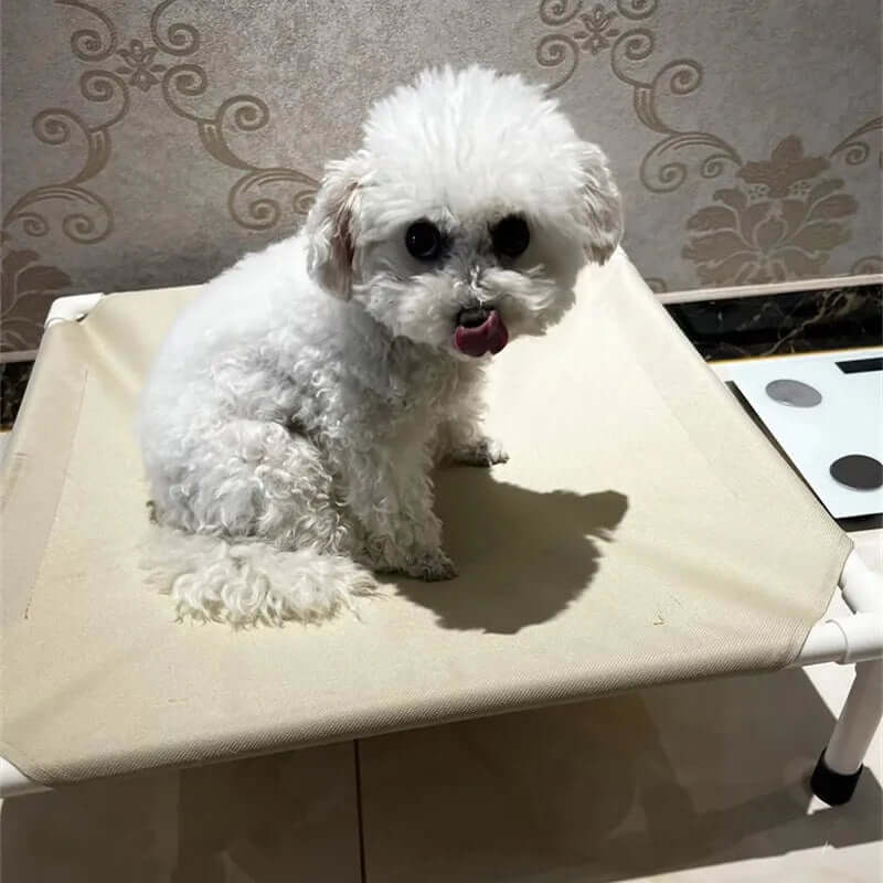 Pet Camping Bed Elevated Bed for Dogs - FurryZone