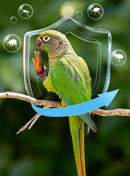 Bird Insect Repellent 100ml - FurryZone