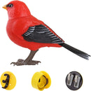 Electronic Singing Bird Toy - FurryZone
