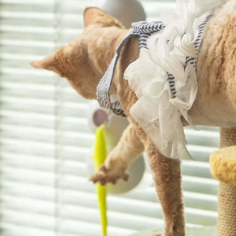 Interactive Caterpillar Cat Toy - FurryZone