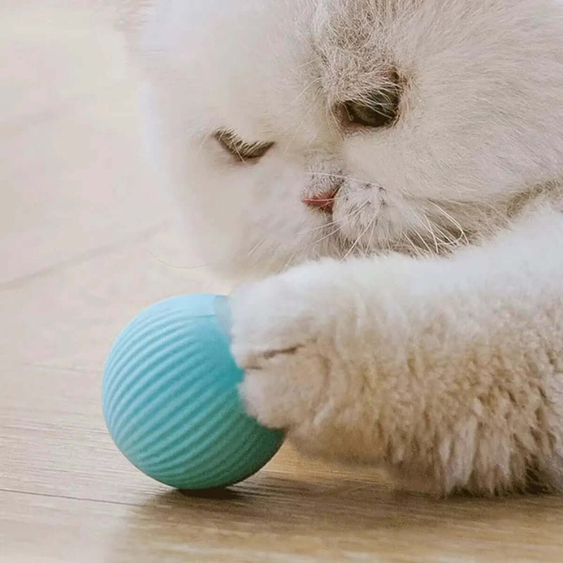 Magic Cat Ball Toy FurryZone
