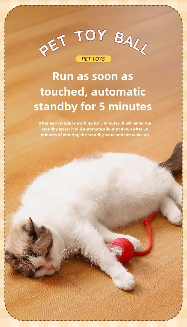 Rechargeable Smart Interactive Pet Rolling Ball Toy - FurryZone
