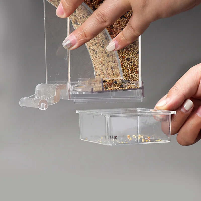 Parrot Bird Feeder - FurryZone