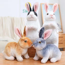 Simulation Kawaii Long-Eared Realistic Rabbit Plush Toy - FurryZone
