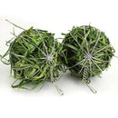 Stainless Steel Rabbit Hay Ball - FurryZone