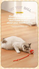 Rechargeable Smart Interactive Pet Rolling Ball Toy - FurryZone