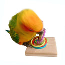 Bird Training Ring Toy - FurryZone