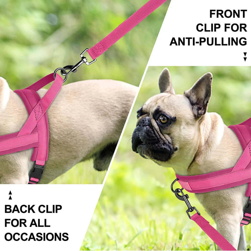 Soft Padded Adjustable Pet Pug Harness - FurryZone