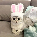 Rabbit Headgear for Cats - FurryZone