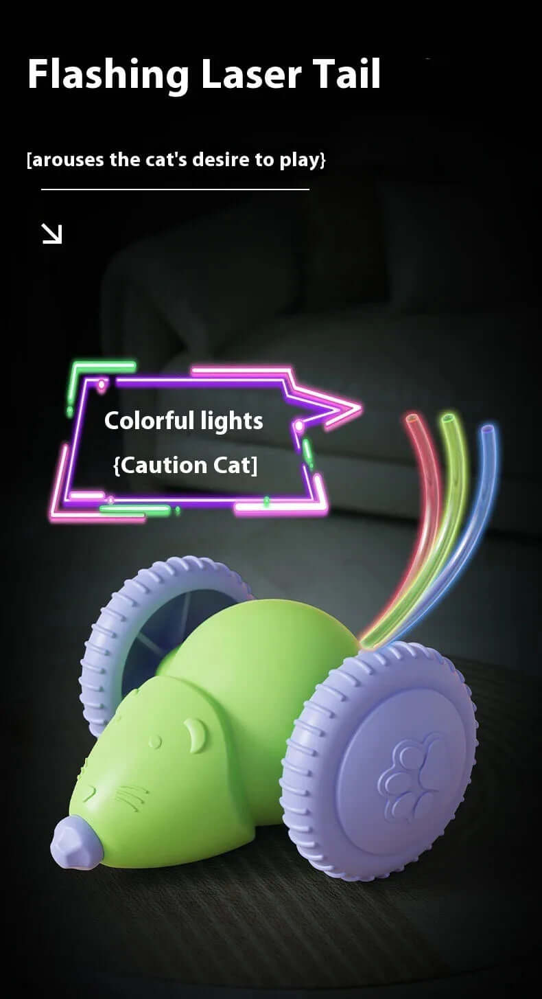 Cat Toy Electric Mouse Car - FurryZone