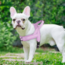 Soft Padded Adjustable Pet Pug Harness - FurryZone