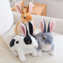 Simulation Kawaii Long-Eared Realistic Rabbit Plush Toy - FurryZone