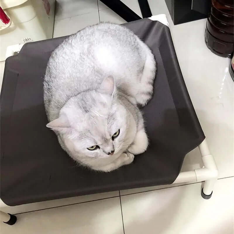 Pet Camping Bed Elevated Bed for Dogs - FurryZone