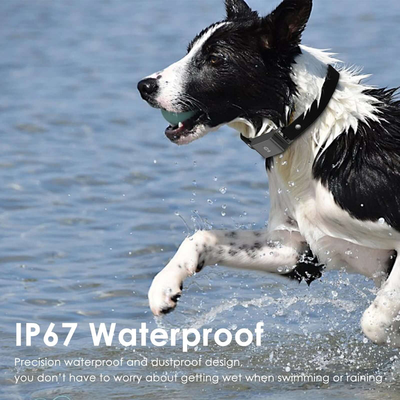 4G GPS Tracker Pet for Dog  and Cat - FurryZone