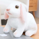 20cm Realistic Rabbit Plush Toy - FurryZone