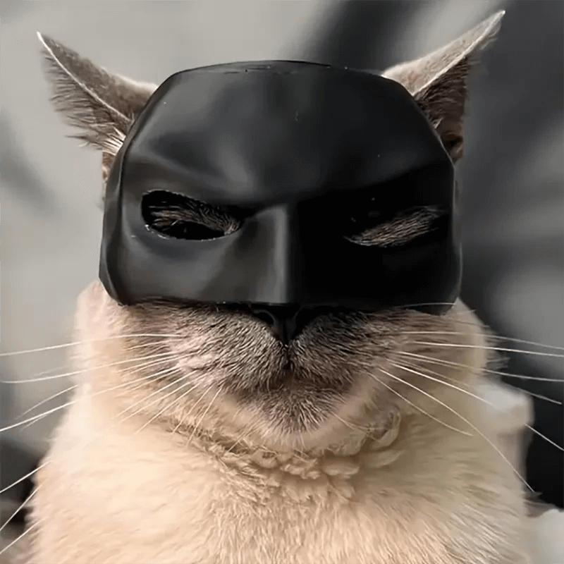 Cat Avenger Mask - FurryZone
