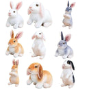 Realistic Kawaii Rabbit Plush - FurryZone
