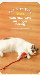 Rechargeable Smart Interactive Pet Rolling Ball Toy - FurryZone