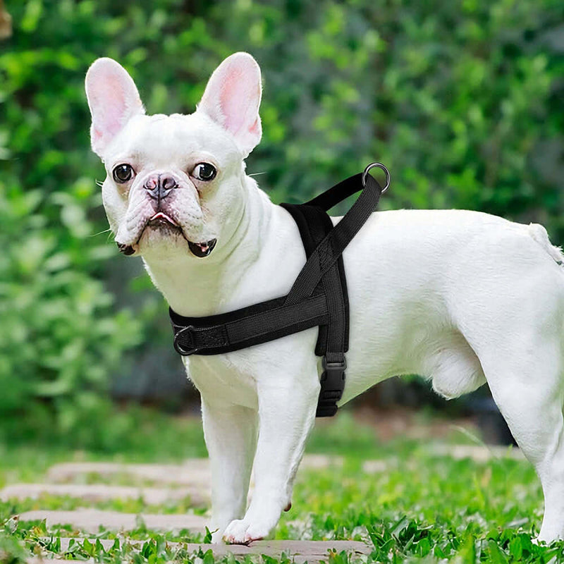 Soft Padded Adjustable Pet Pug Harness - FurryZone