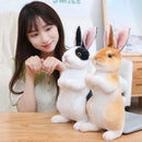 Simulation Kawaii Long-Eared Realistic Rabbit Plush Toy - FurryZone