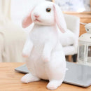 20cm Realistic Rabbit Plush Toy - FurryZone