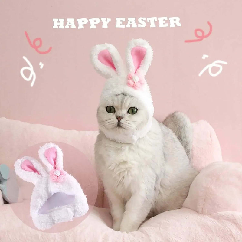 Rabbit Headgear for Cats - FurryZone