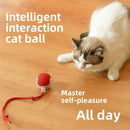 Rechargeable Smart Interactive Pet Rolling Ball Toy - FurryZone