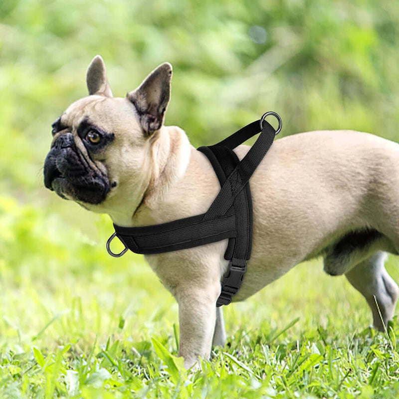 Soft Padded Adjustable Pet Pug Harness - FurryZone