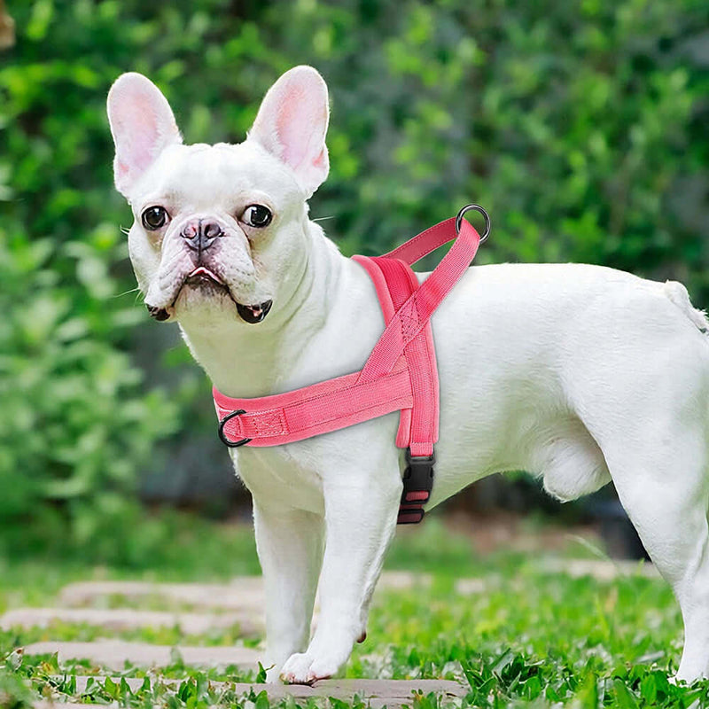 Soft Padded Adjustable Pet Pug Harness - FurryZone