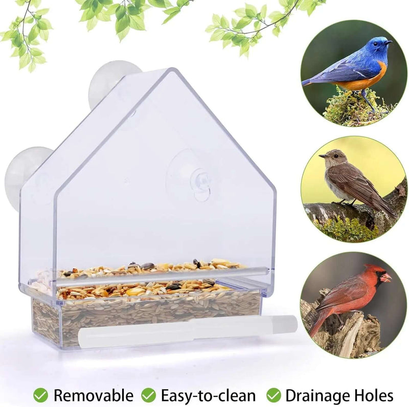 Window Bird Feeder - FurryZone