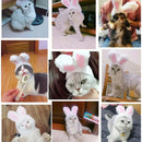 Rabbit Headgear for Cats - FurryZone